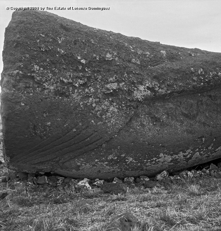 CDM_Mano_03.jpg - Easter Island. 1960. Hand of a moai on the transport road.